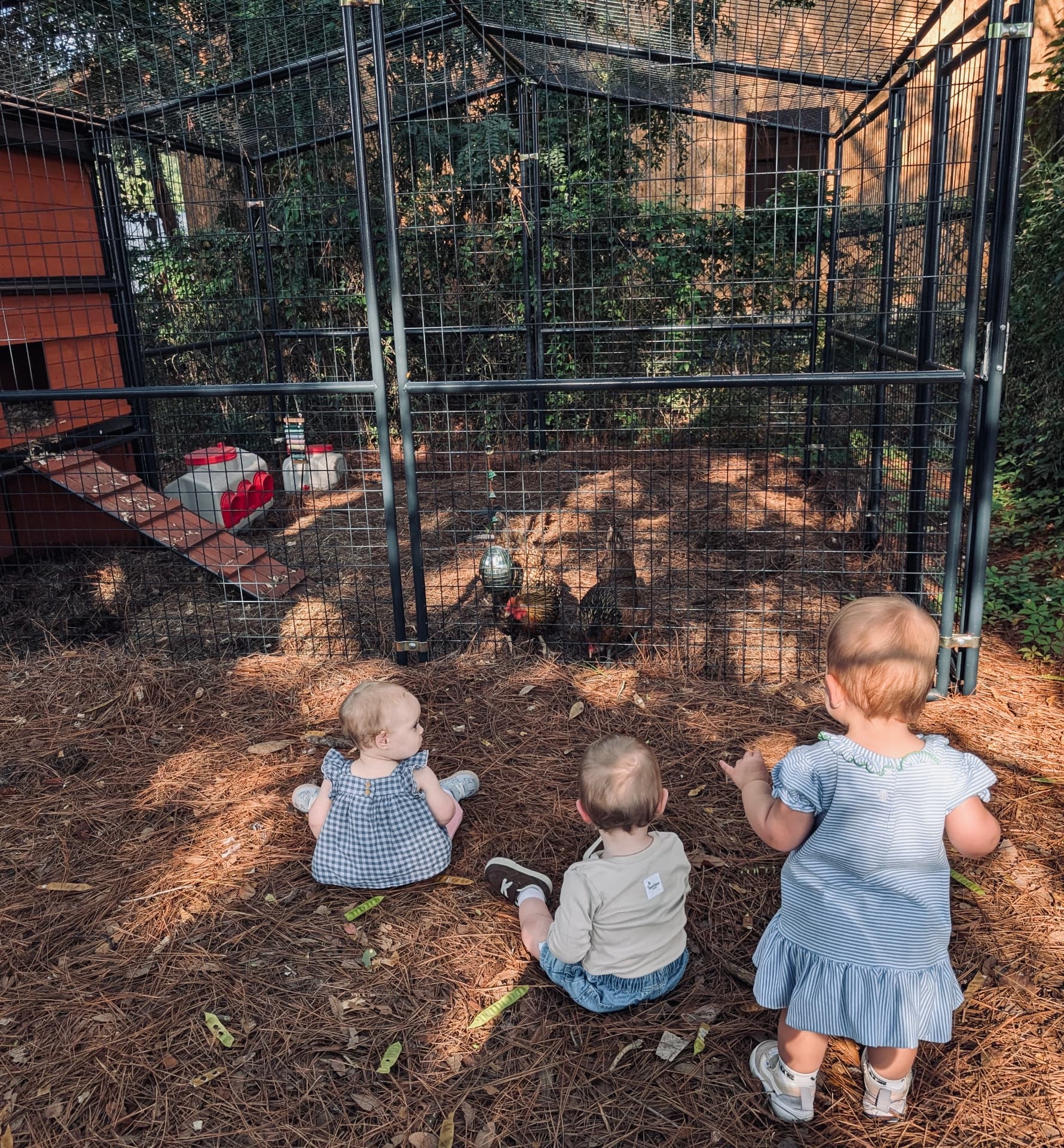 Children exploring the outdoor learning space